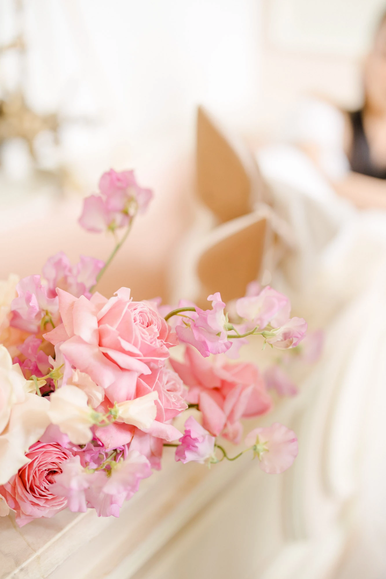 fleur pétale rose composition florale rosiers de jardin